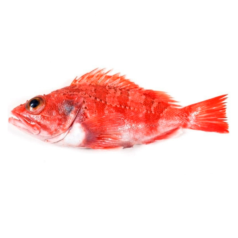 cabra