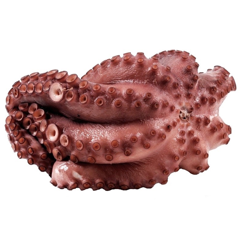 pulpo_cocido