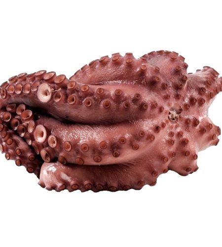 pulpo_cocido